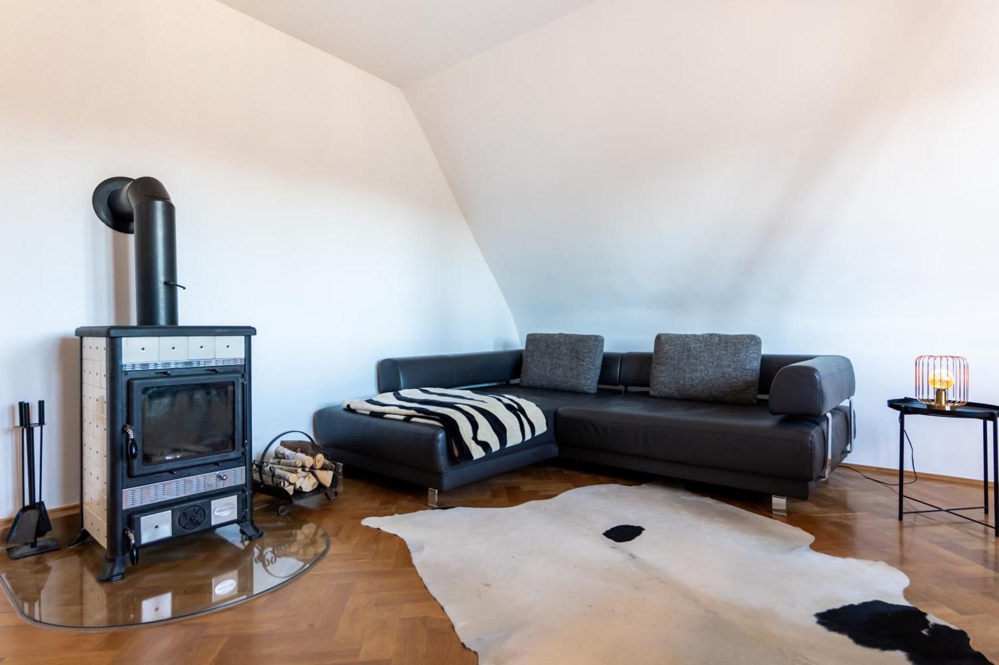 Doppelhaus- Villa Leipzig Schleussig , Moderner Altbau Apartment Dachetage Mit 2 Schlafzimmern Und Separatem Zusatzzimmer , Parkplatz - Balkon - Kamin - Eicheparkett - Arbeitsplatz Extérieur photo
